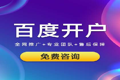 网络营销实战：案例分享竞价推广的秘诀